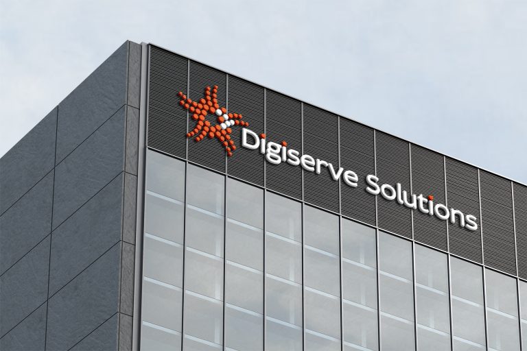 Digiserve Solutions Brand Identity Design